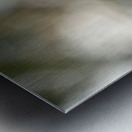 Whispering Blooms Metal print