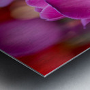 Bubblegum Bloom Bliss Metal print