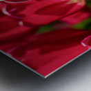 Petal Perfection Metal print