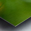 Celestial Elegance Metal print