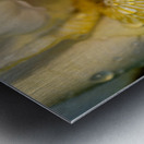 Dreamy Iris Metal print