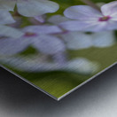 Mellow Melody Metal print