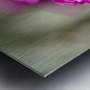 Orange Eye Impression metal