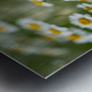 Whispers of Nature Metal print