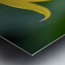 Yellow Bliss Metal print