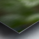 Blue Rosary Metal print