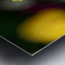 Call Me Fabiola Impression metal