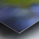 Blue Umbrella Metal print