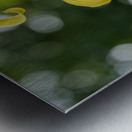 Call Me Lily Metal print