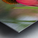 Cool One Metal print