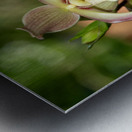 Call Me Willie Metal print