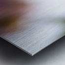 Delicacy Impression metal