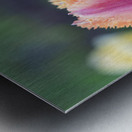 Eyecatching Ones Metal print