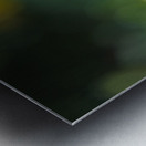 In the Foreground Metal print