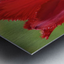 I Choose Red Metal print