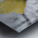 In Good Company Metal print