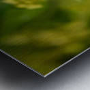 Little Glass 2 Metal print