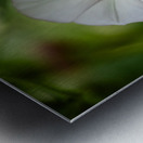 Little Glass Impression metal