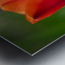 Lovely in Red Metal print