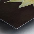 Quite a Pair Metal print