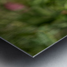 Resilient One Metal print