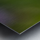 So Delicate Metal print