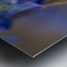 Sapphire Star Metal print