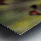 Snow White Metal print