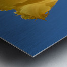 To The Sky Metal print