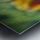 Pastel Colored Lady Metal print