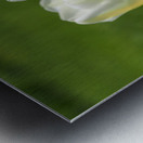 Yellow and White Impression metal