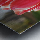 Look at Us Metal print