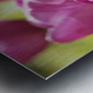 Follow the Leader Impression metal