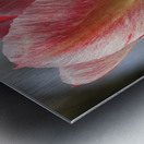 Cheerful Lady Metal print