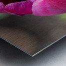 Pretty Pink Impression metal