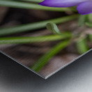 Triplets Metal print