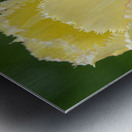 Elegant with Fringes Metal print