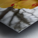 Beautiful Nature Metal print