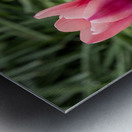 Loving You Metal print