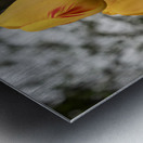 Three Peas in a Pod Metal print