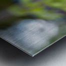 Her Majesty Metal print