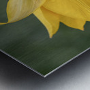 That Way Metal print