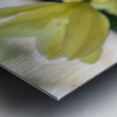 Dreamlike Metal print