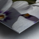 Pretty Nice Metal print