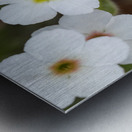 Colorful Dots Impression metal