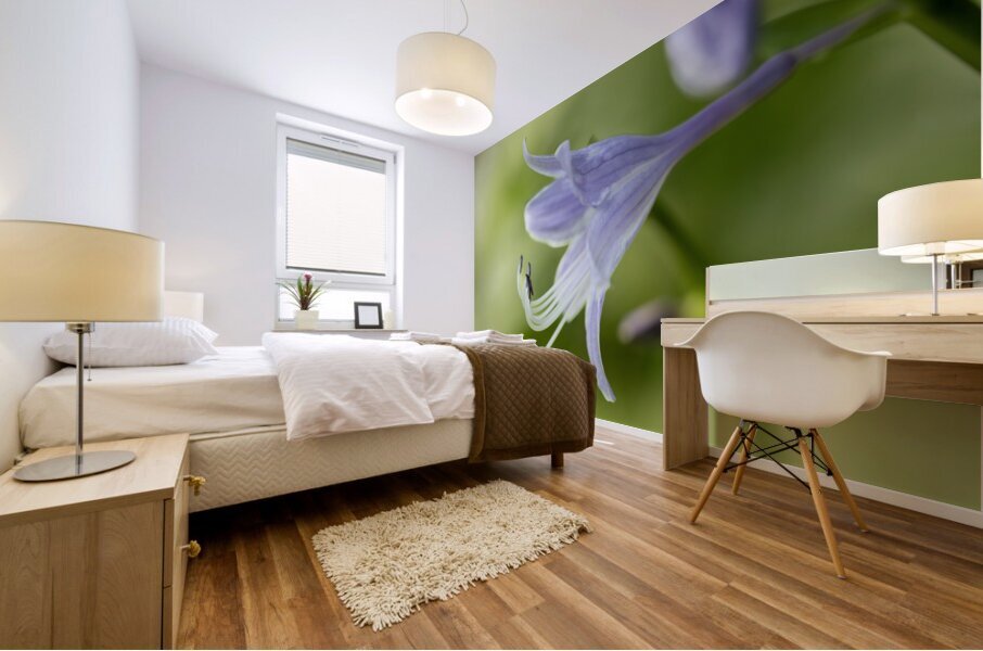 Purple Hosta Flower Mural print