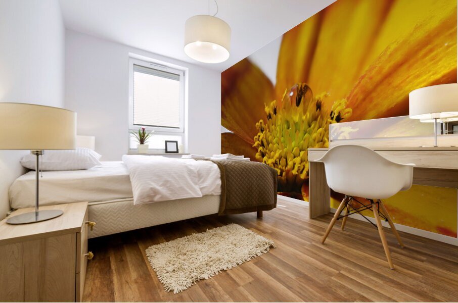 Bidens Ferulifolia Mural print