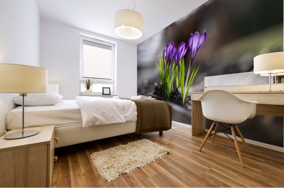 Crocus Mural print