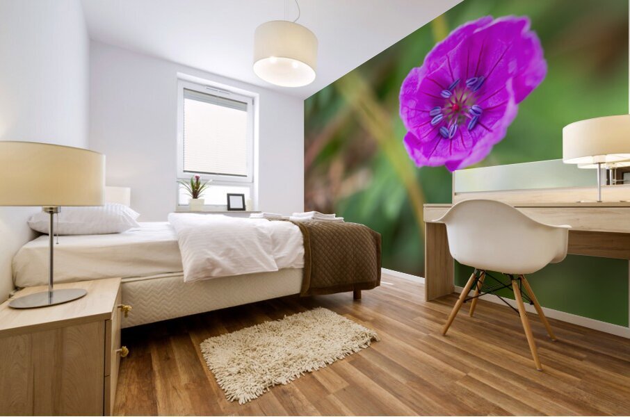 Geranium Closeup Mural print
