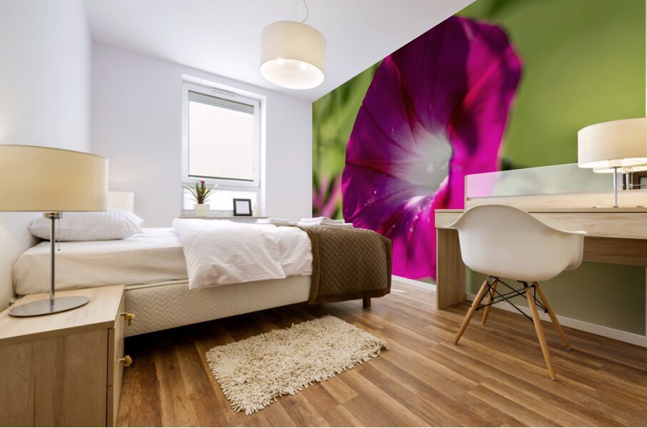 Pretty Trumpet Mural print